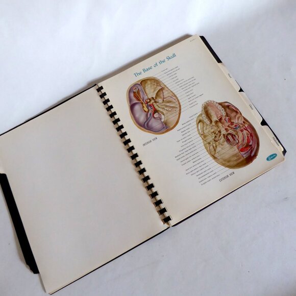 VINTAGE 1956 ATLAS OF NORMAL ANATOMY ILLUSTRATED SPIRAL BOUND ODDITY - Picture 2 of 11